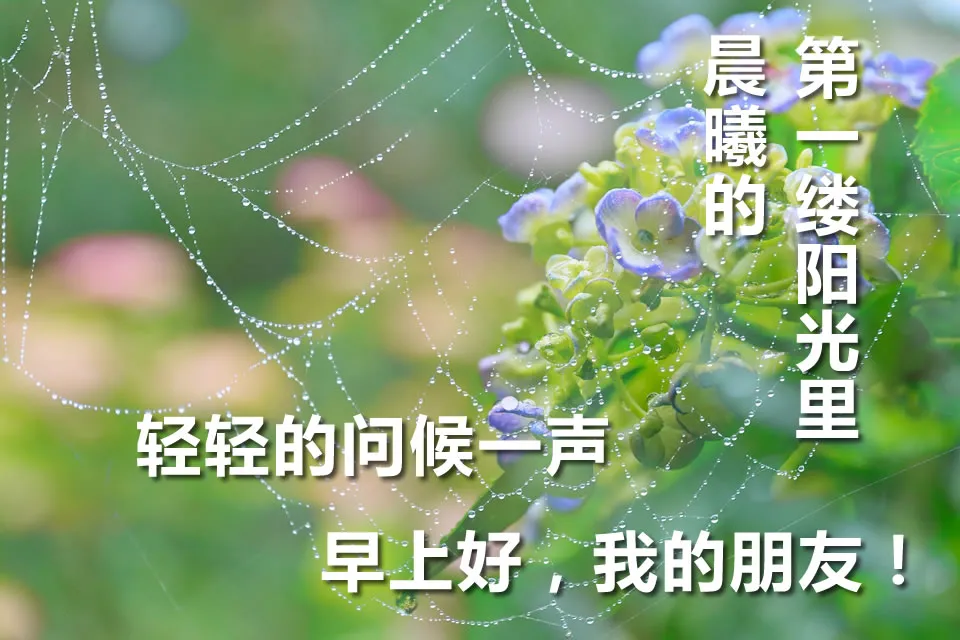 「2022.01.27」早安心语,正能量精选语录说说,很酷的早上好图片