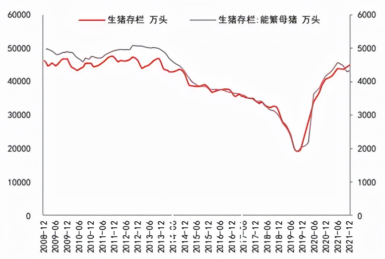 牛钱豆粕周报（2022.2.25.）