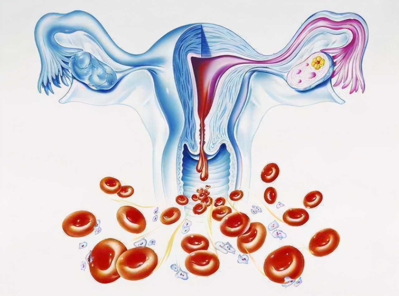 月经血的来临是我们子宫内膜每个月周期性坏死脱落出现的出血,但是