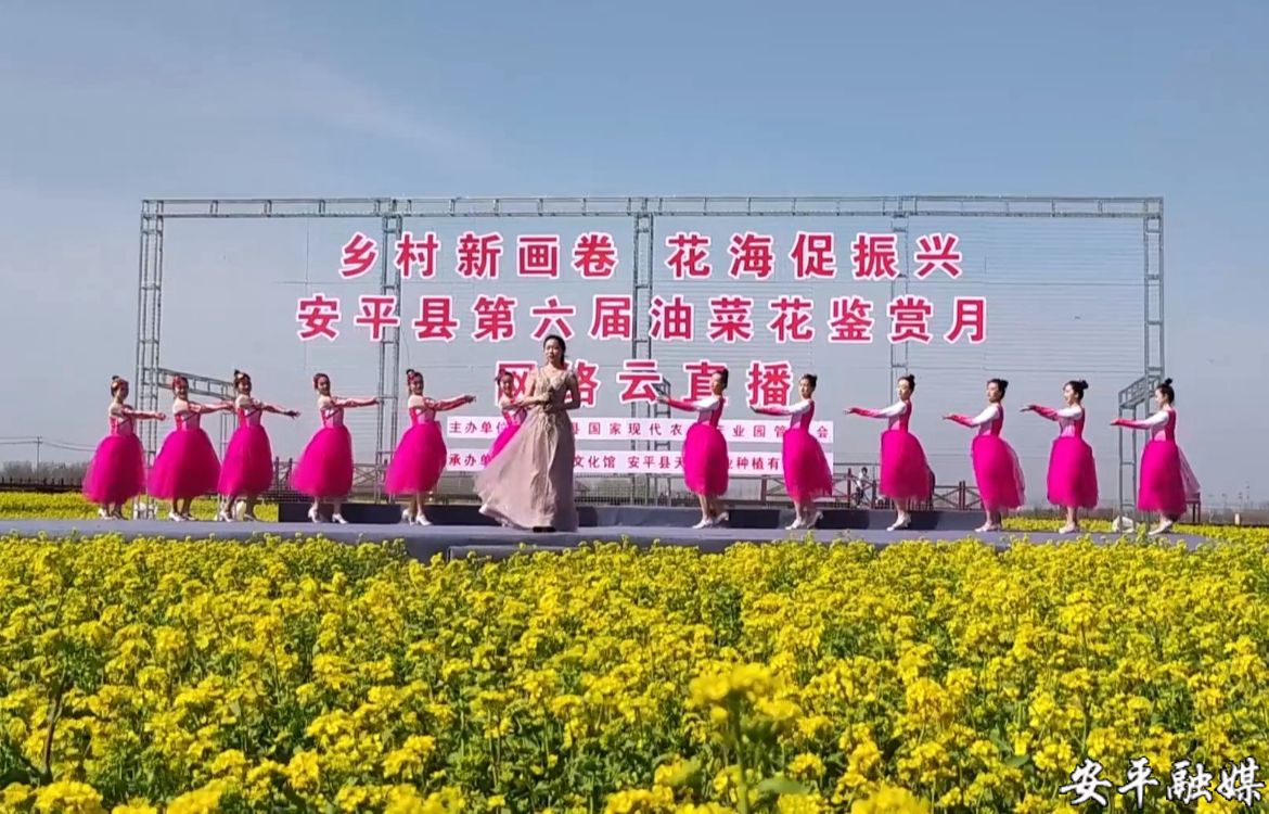 中国安平第六届网络油菜花鉴赏月活动隆重开幕