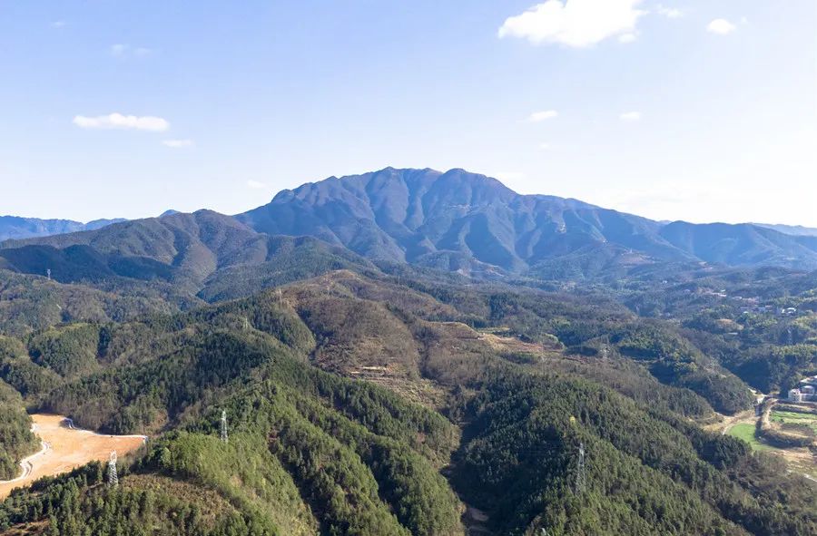 每月喝一种绿茶，神游祖国大好河山