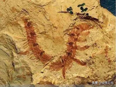 今生必打卡！见证5000年历史和文明的中国56处世界遗产，你都去过几个？