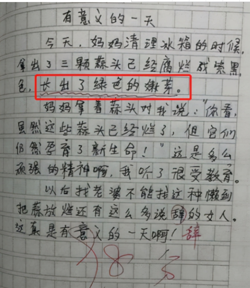 小学生作文《我的班主任》火了，讽刺老师的发量，看后笑到肚子痛