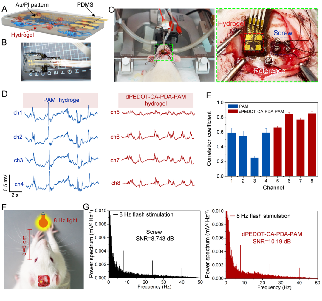 中国科学家研发柔性脑机接口，在10Hz左右找到α波