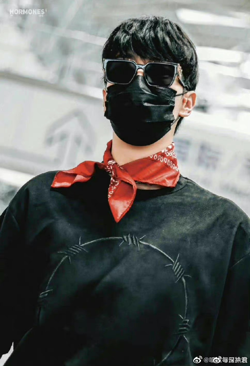 孟美岐桃花坞开放中