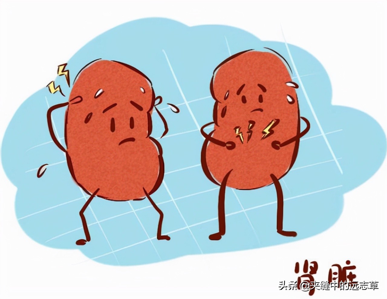 入冬养肾正当时，送你五味中药，助肾封藏，平补阴阳