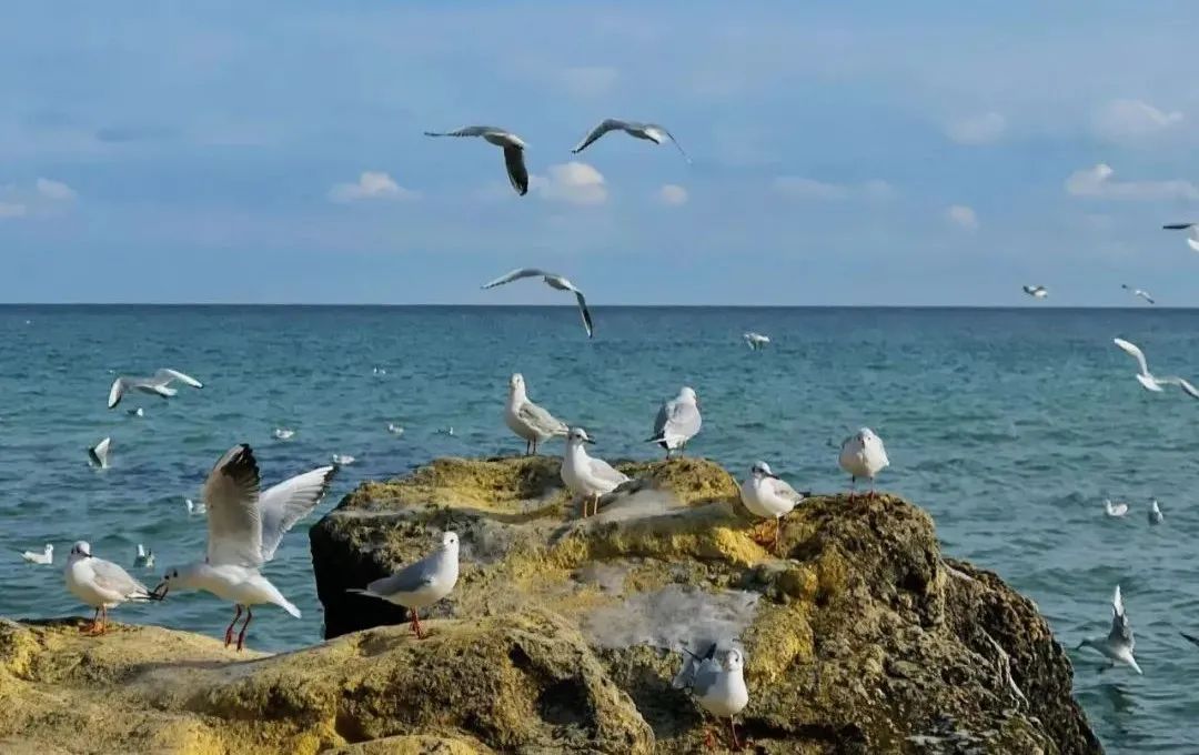 战争“乌”云下的普通人：家门差点让人撬开、被当成间谍拦住