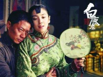 16部茅盾文学奖影视作品，暗算白鹿原很成功，三部有瑕疵：人世间