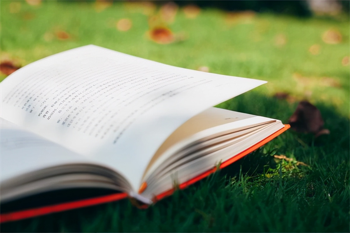 大学考什么证对找工作最有用？过来人：这3类证书，非常实用