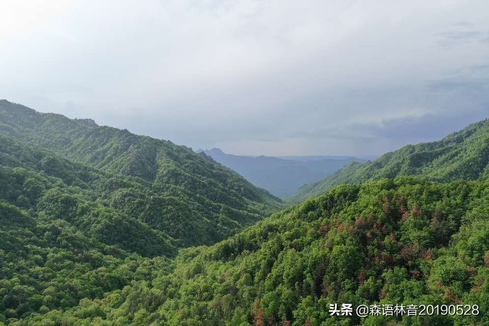 烟雨通天河 丹青水墨画——送你一个夏天“趣”通天河的理由