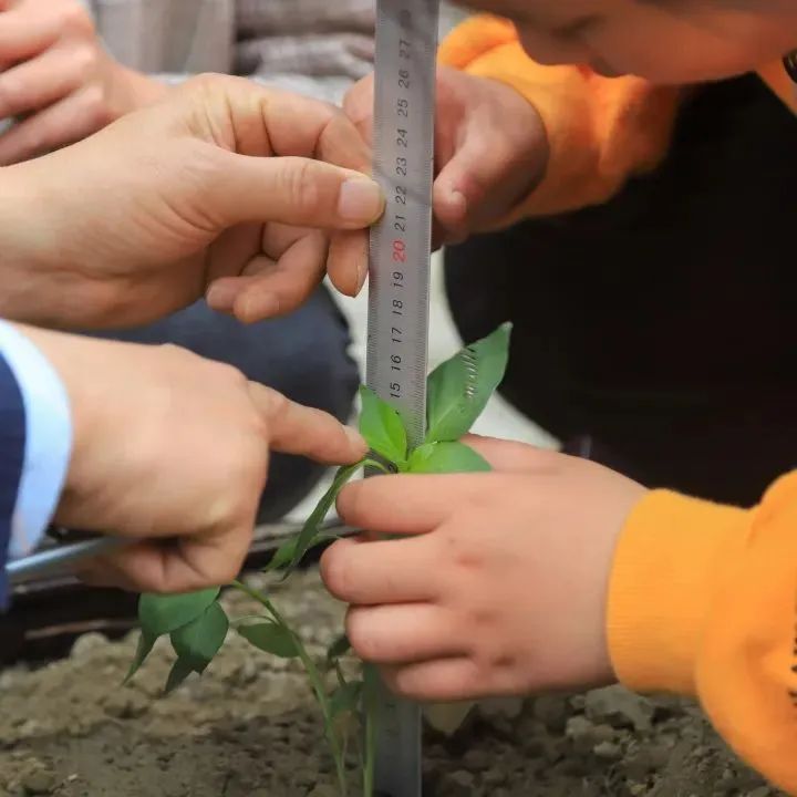 与你分享，我在四川天府新区南湖小学的精彩校园生活