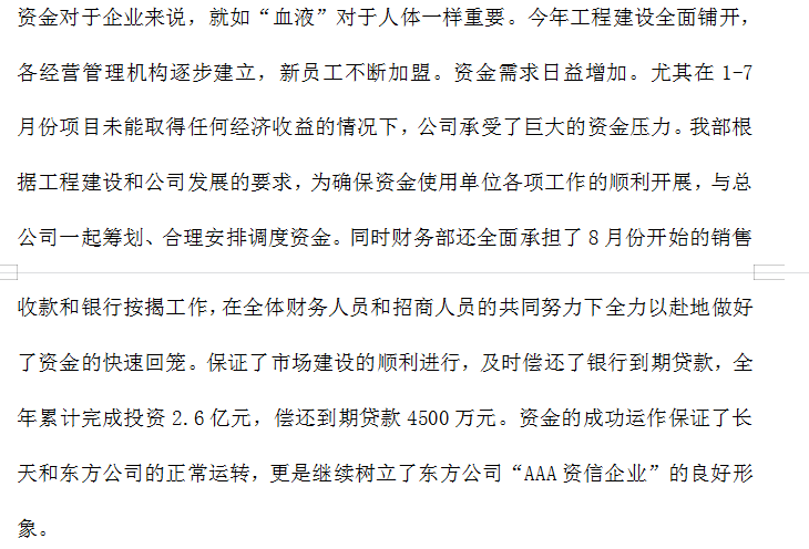 财务部年度工作总结及述职报告模板