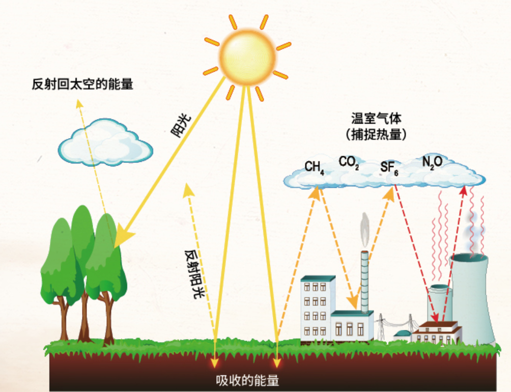 科学家警告：各种迹象表明，地球或许正进入第六次生物大灭绝