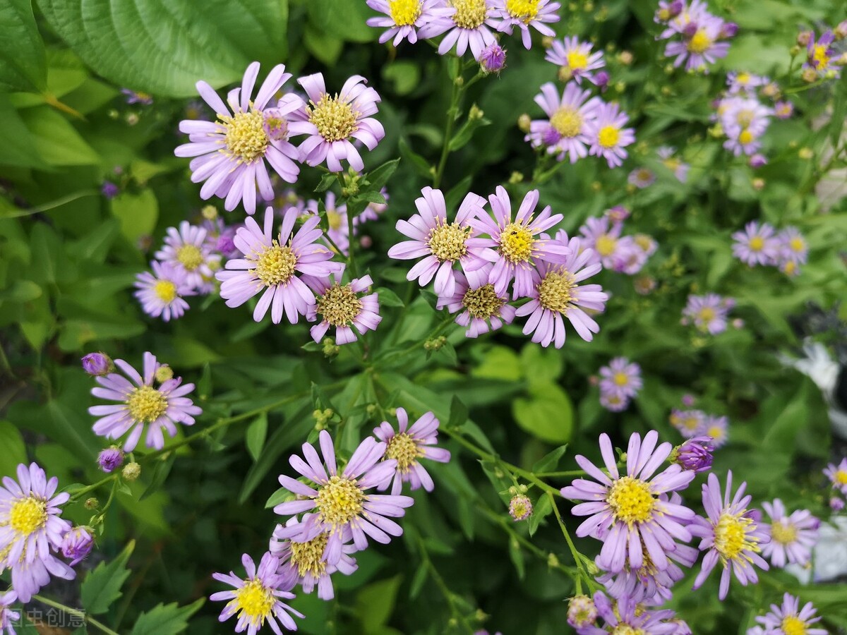 大学生暑假酒店实习报告