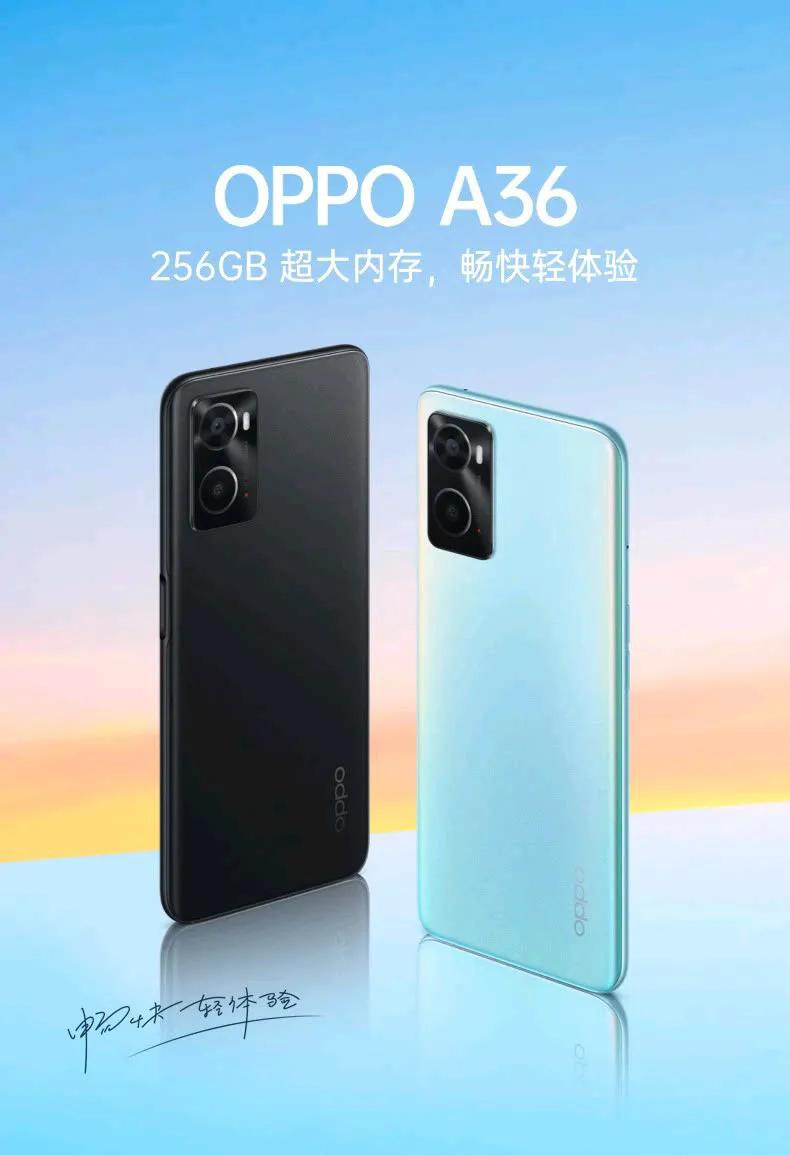 vivoy31s手机多少钱（各品牌中不值得入手的手机）