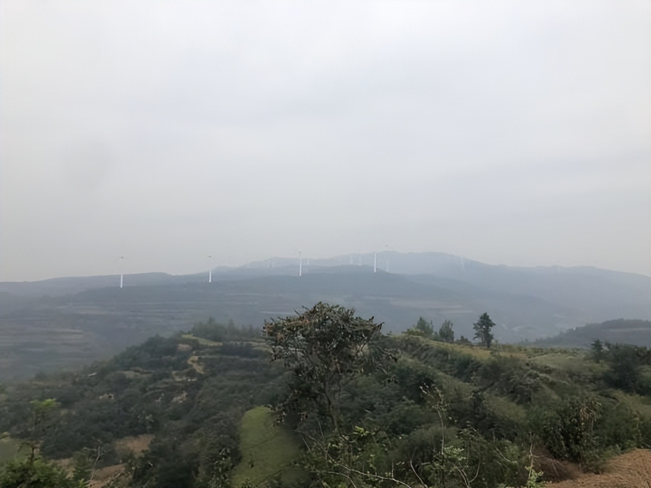 “春不雨乙卯，夏不雨丁卯”，明日丁卯，晴天好，还是下雨好？