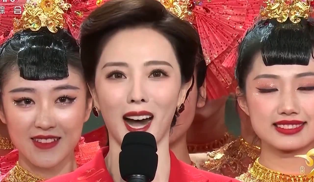 晚会主持人发型图片(历届央视春晚造型盘点) - 赤虎壹号