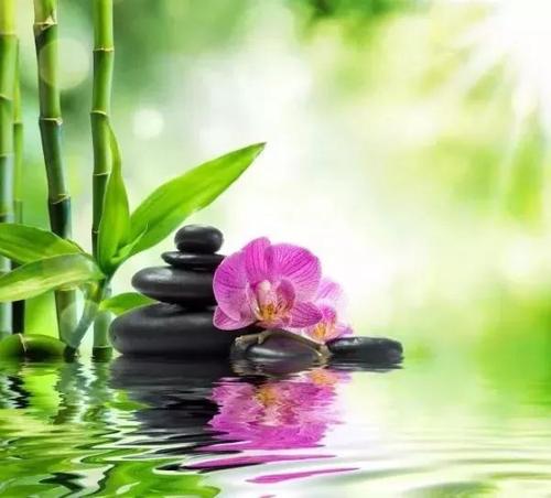 得失辩证法！高考作文参考范文《超越得失，通达人生》