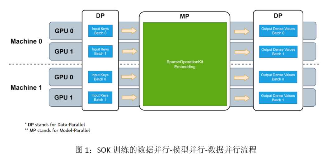 Merlin HugeCTR Sparse Operation Kit 系列之二