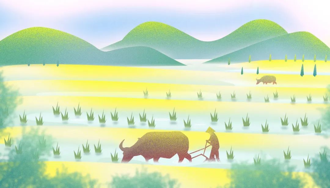 范成大最经典的10首诗词，梅子金黄，如星如月，值得所有人读一读