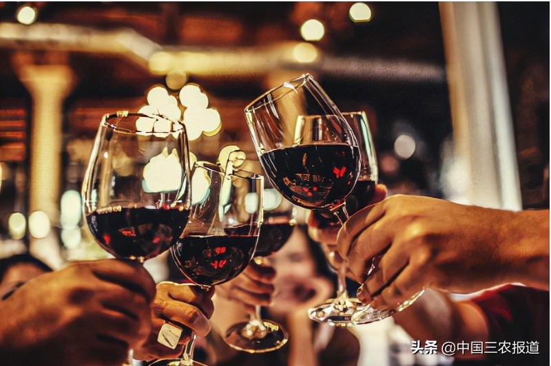 过新年，红酒添彩：品味醇香，欢庆佳节