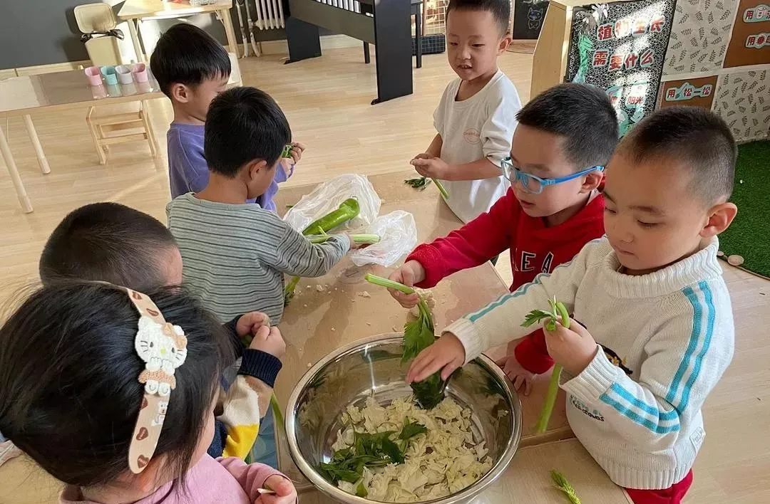 中國幼教公益論壇丨幼兒園冬季室內活動方案
