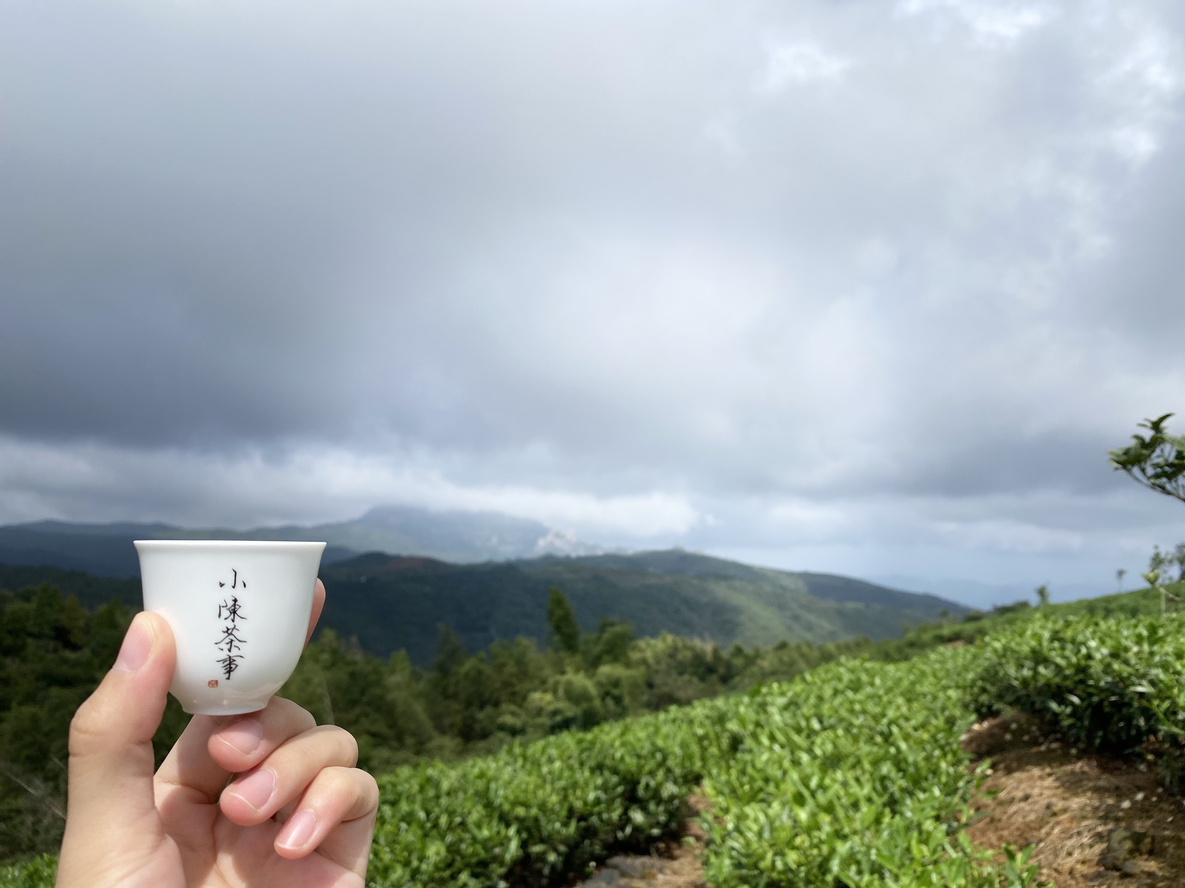 冬季热门玻璃煮茶壶十大品牌排行榜