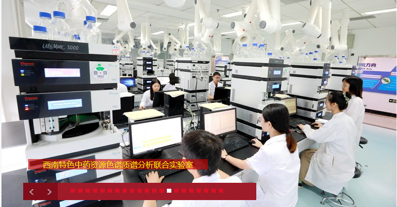 考研倒计时丨中药学硕士迎来高光时刻？四川热门高校有哪些？