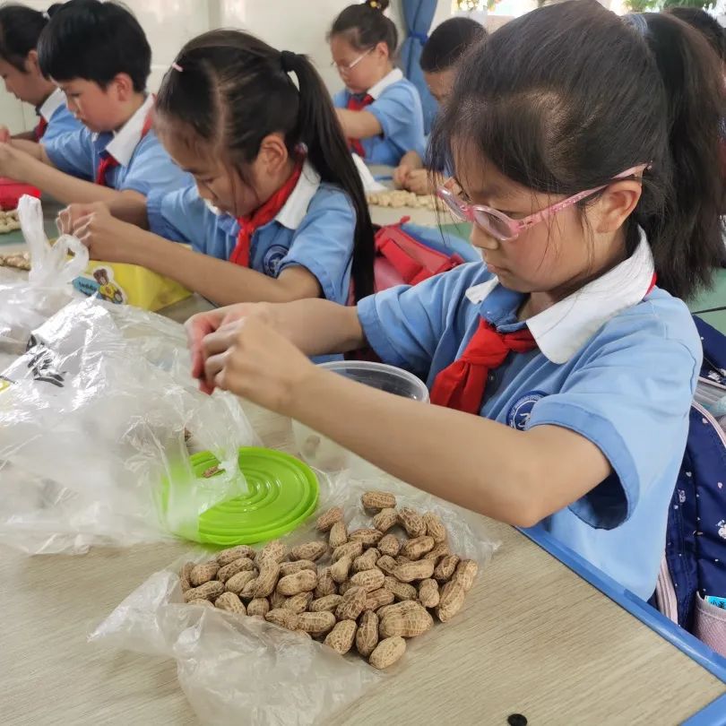 发扬劳动精神 争做先锋少年｜记川大西航港实小劳动技能大赛活动