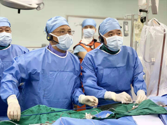 211医科大学（医学院校）