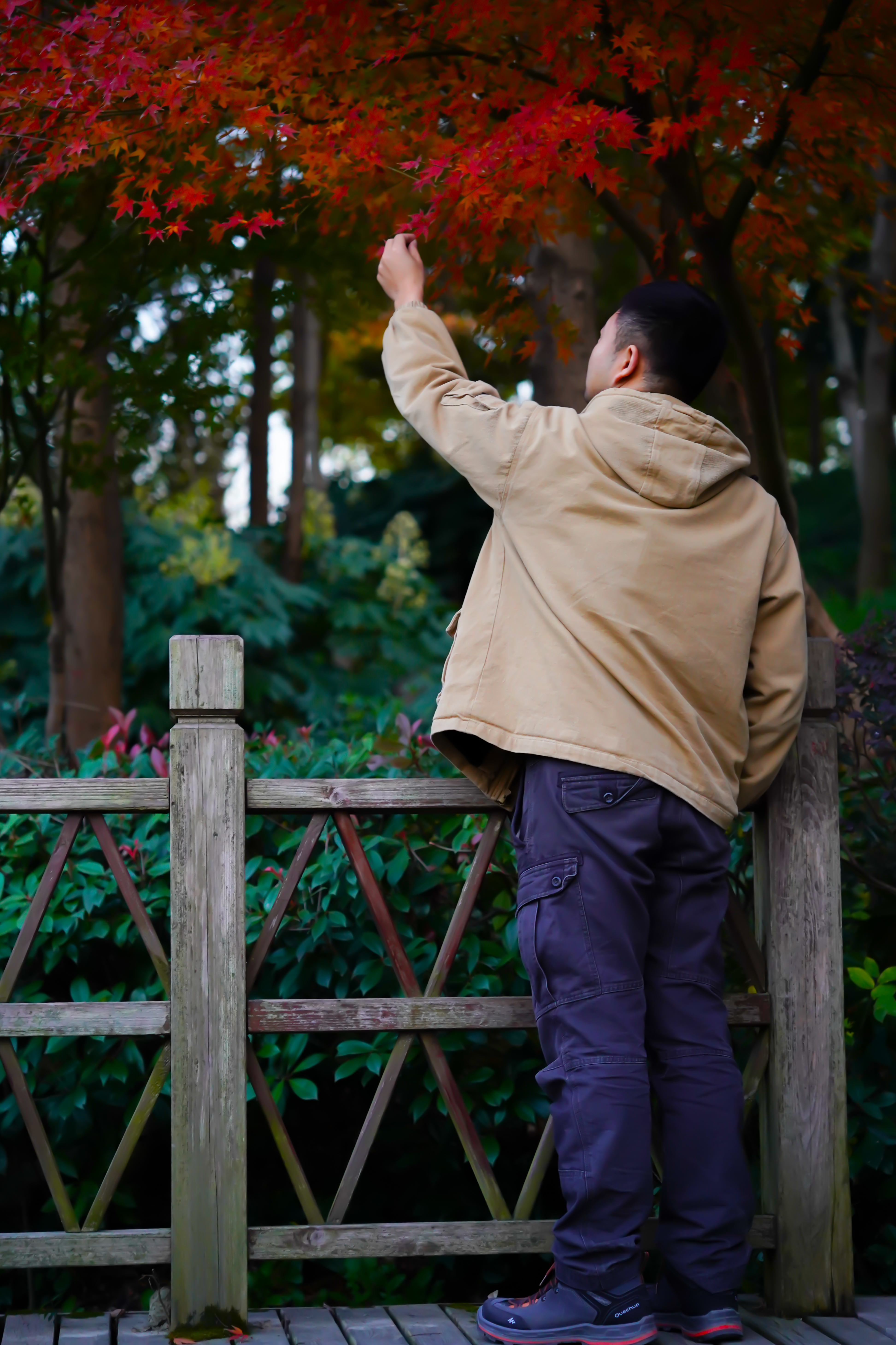 小众年宵花热销，90后小伙靠它在淘宝年销近千万