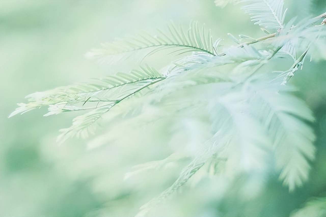 有三句情话，男生主动跟你说了，多半是爱你到极致了