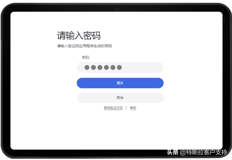特斯拉多重身份验证