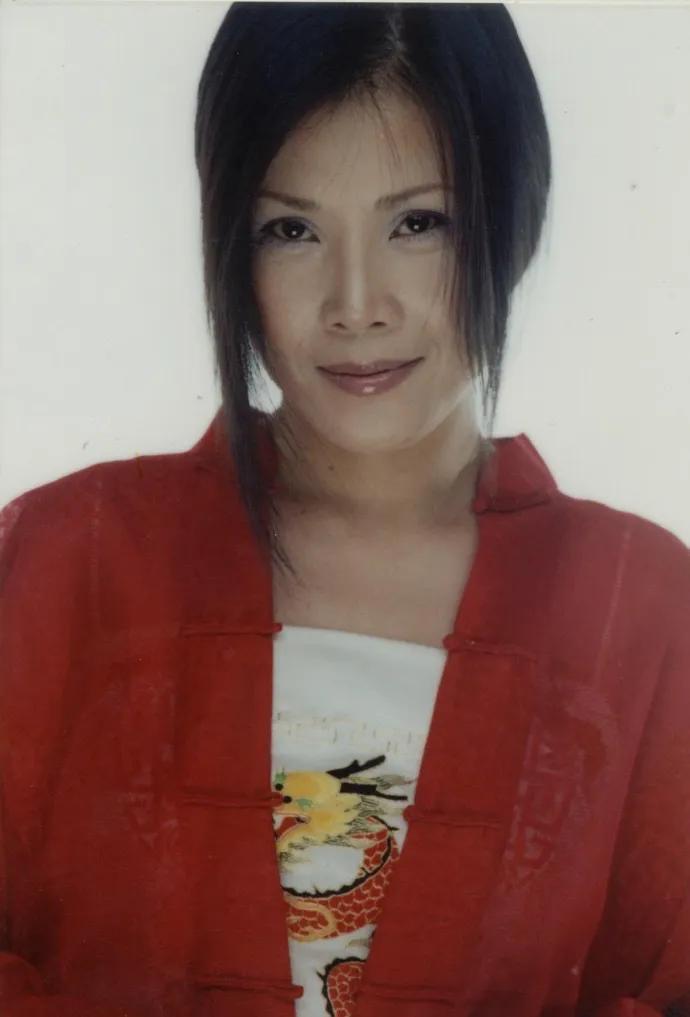 田震，15张精美的照片