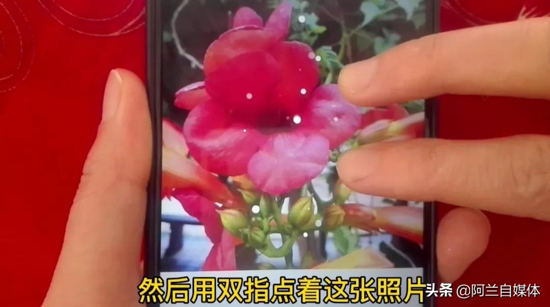 刚发现，华为手机的智慧识屏功能太强大！用过都说好，学会很方便