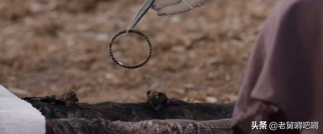 豆瓣8.6，神作之国又刷出新高度