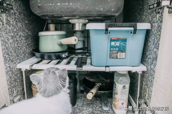 37㎡超小户型，住下“一家五口”再带一个小花园