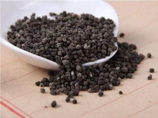 蝙蝠屎图片(粪便) - 赤虎壹号