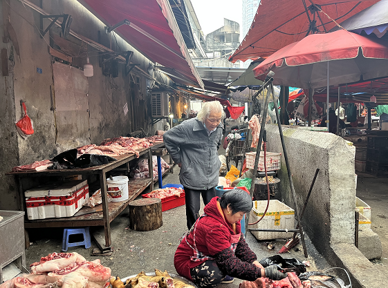 欠债200万独自办动物园32年，81岁的罗应玖盼来新消息：恩施当地相关部门回应，正在想办法解决