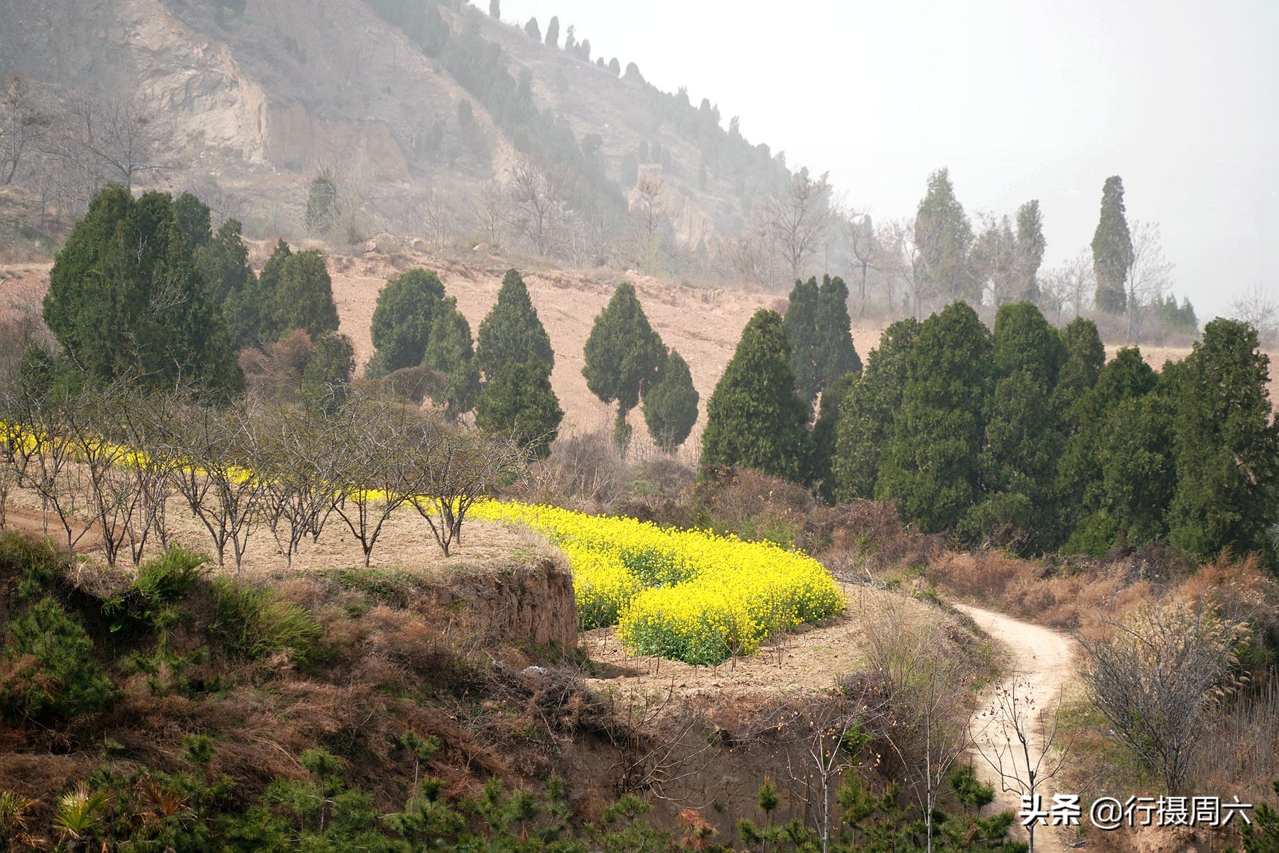 大富大貴的案山朝山形狀圖片出人才的風水寶地圖片