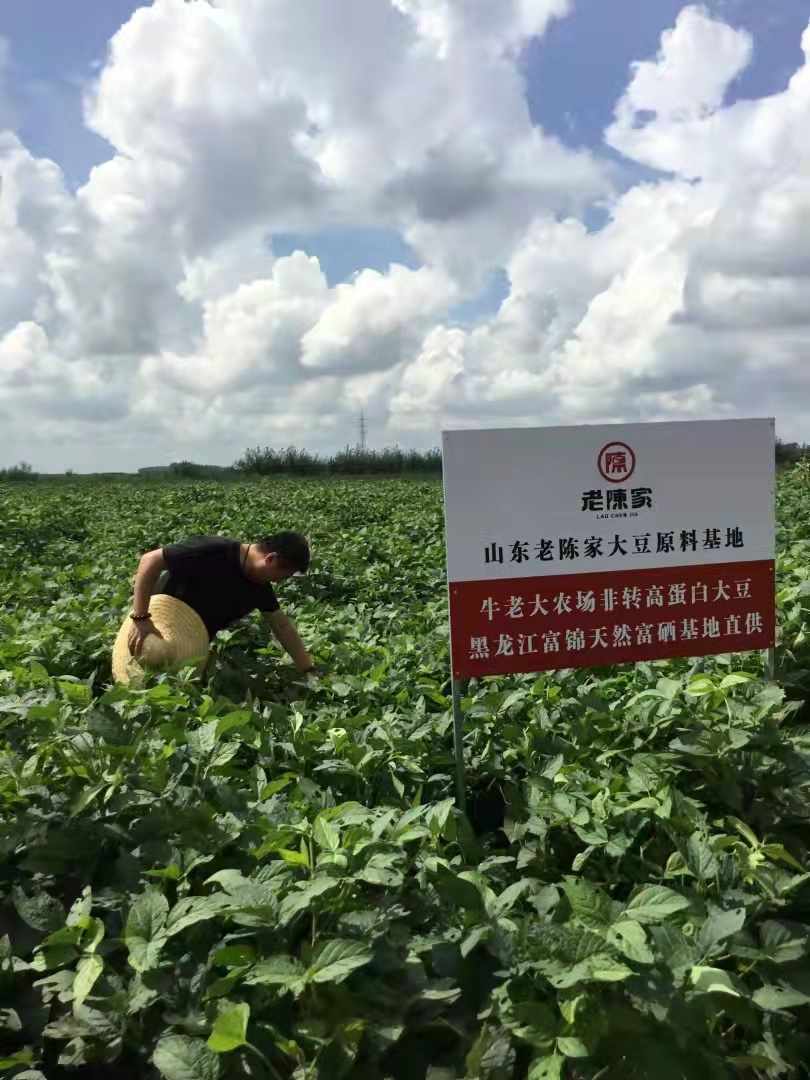 我，在济南打拼的菏泽人，当过厨师，被骗进传销窝，创业做豆腐脑