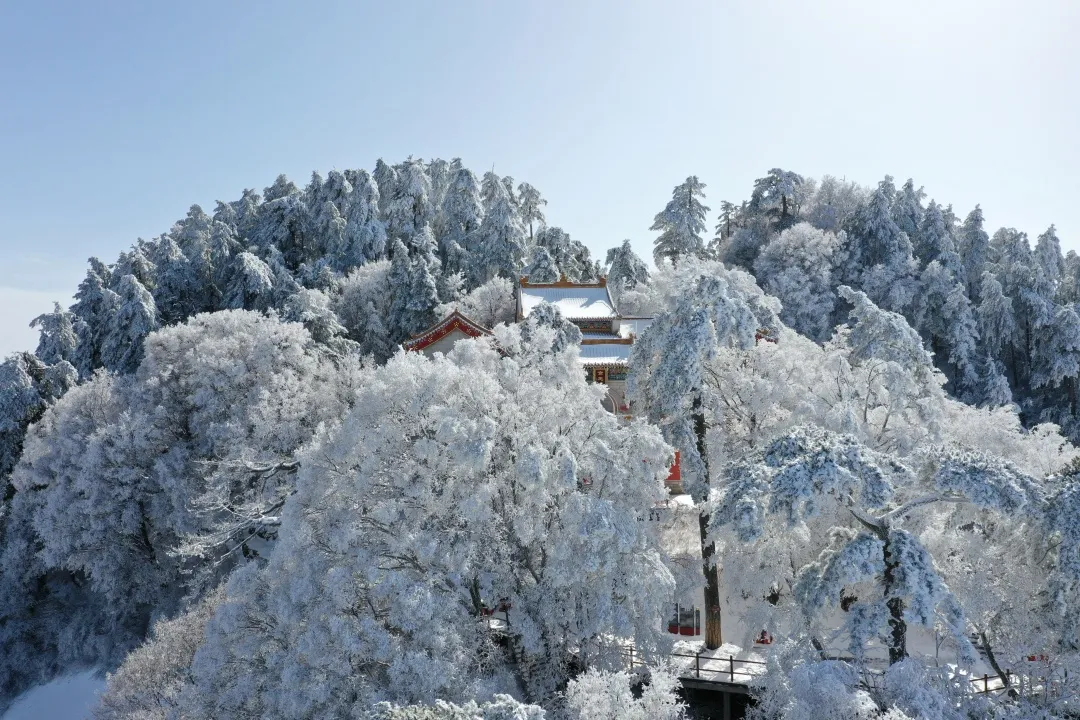 约定！待疫情散去，你我共赏华山美景~