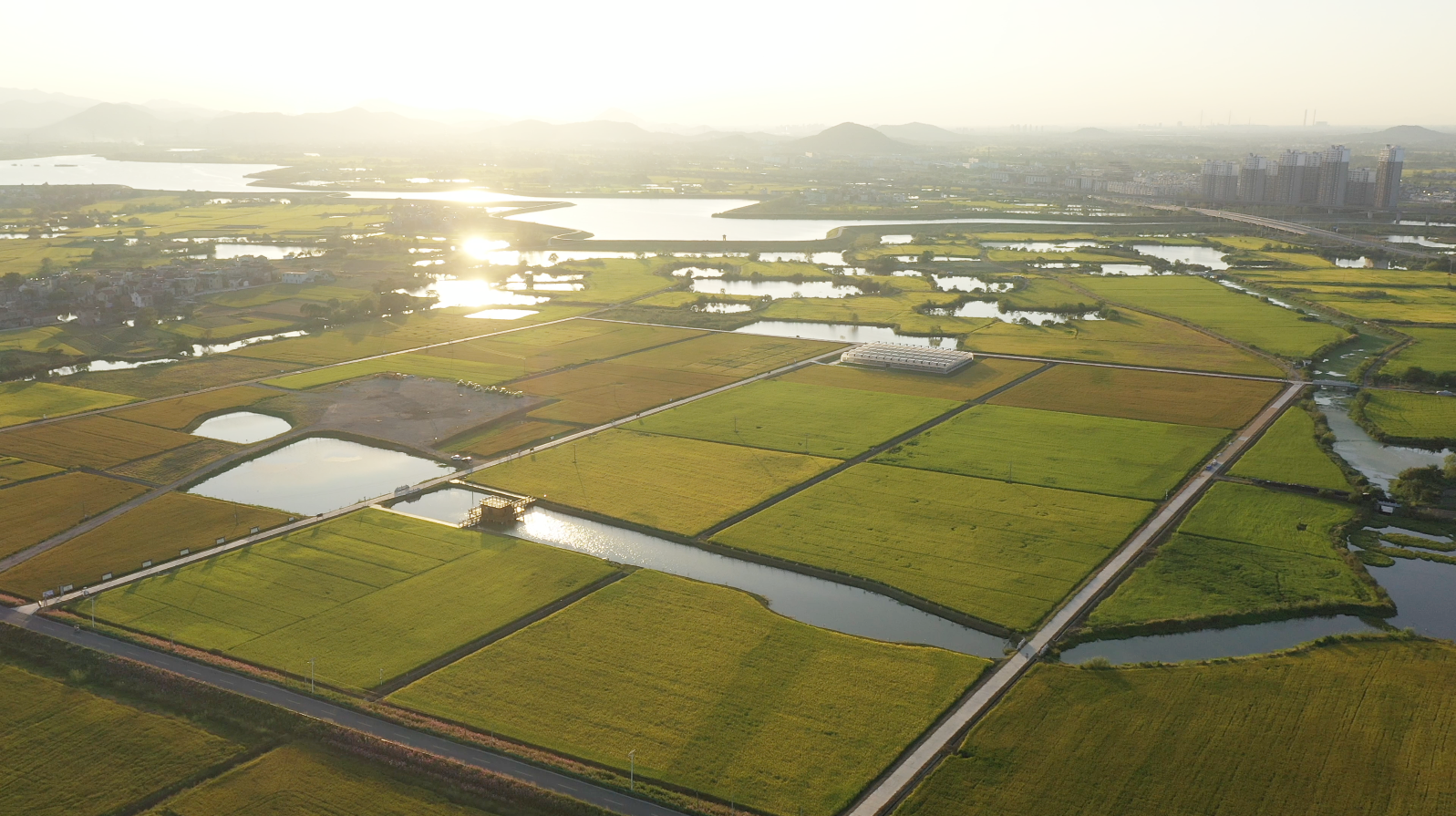 新技术赋能春播，术赋生产<strong>WhatsApp%E3%80%90+86%2015855158769%E3%80%91receiver%20game%20hoist</strong>中联重科抛秧机助力江西早稻生产提质增效