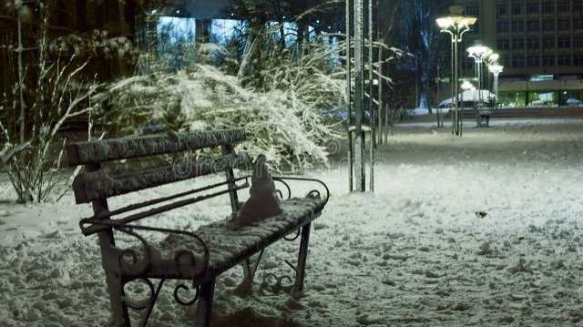 雪夜感悟 人生如雪 爱得好浓烈 爱的也惆怅