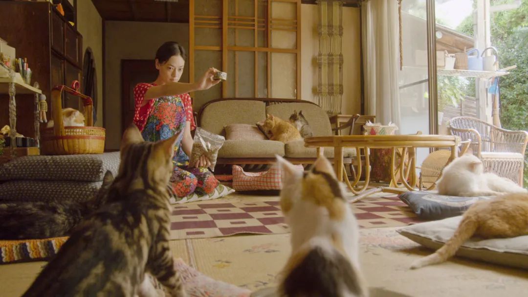 这届年轻人，正在断亲