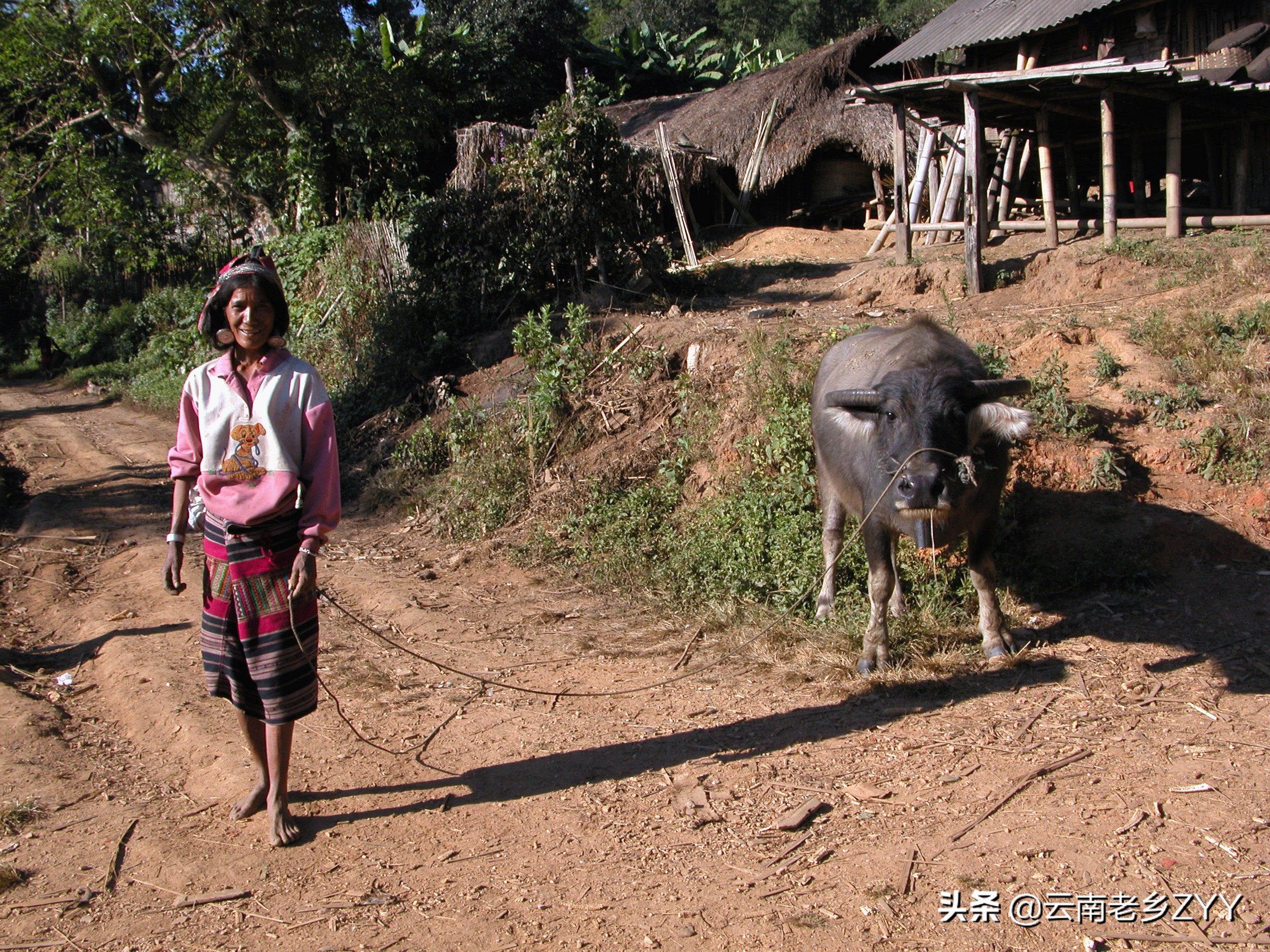 神秘的阿佤山：孟连佤族百姓的生活影象（一）