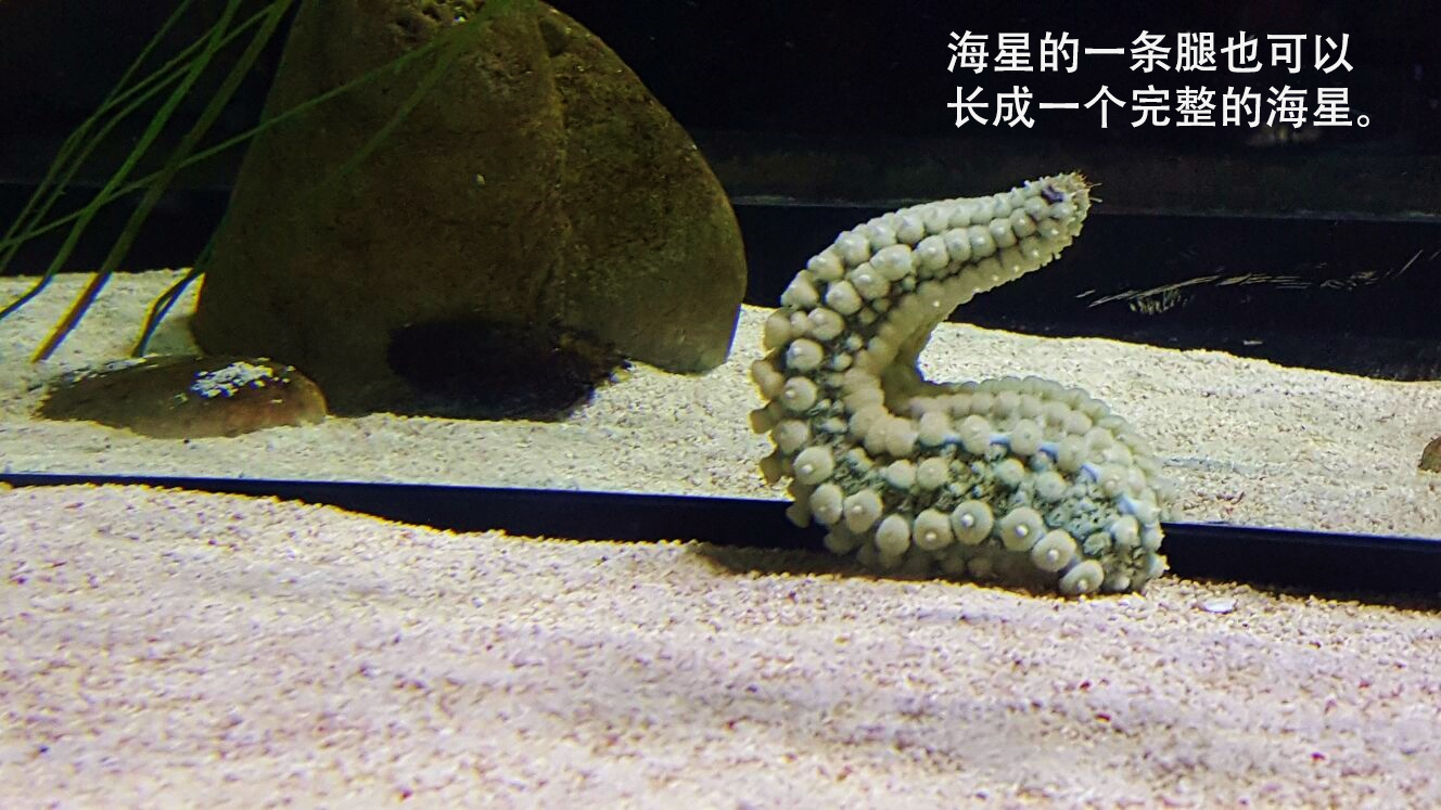 去中心化是什么意思