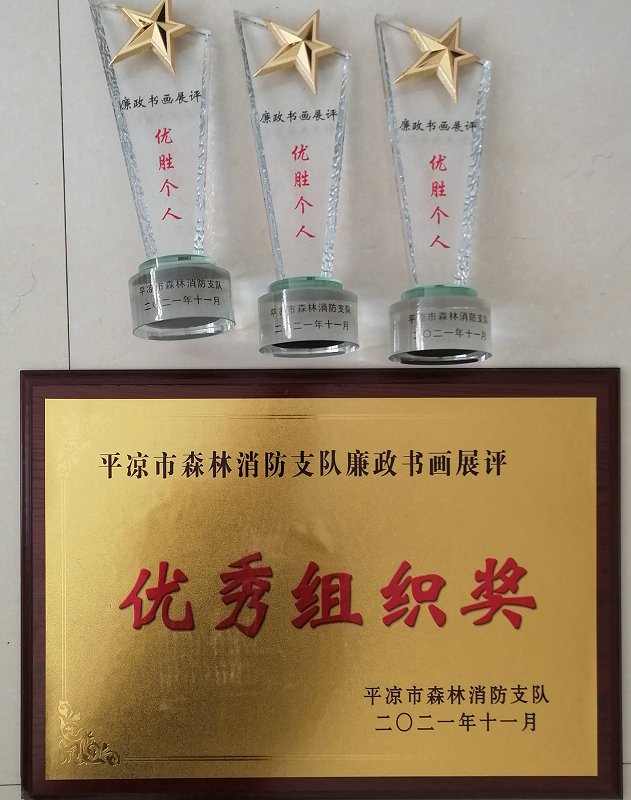 平凉消防“小哥哥”廉政书画展评选结果揭晓了，快来围观