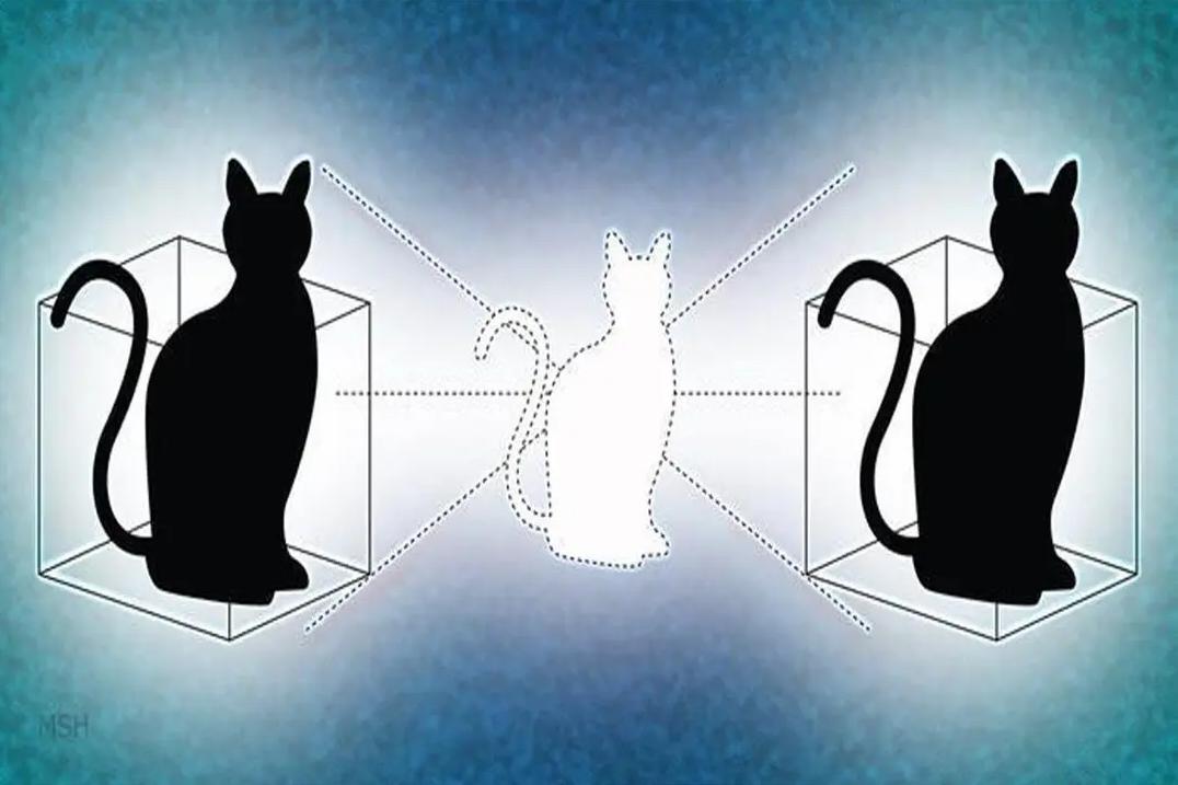 薛定谔的猫是什么意思（薛定谔的猫比喻最通俗解释）-第25张图片