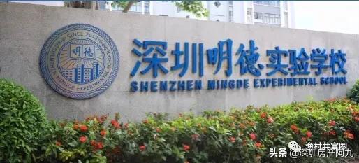 深圳学位房汇总——福田区‼️